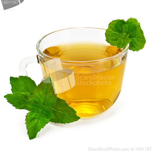 Image of Herbal tea in glass cup with mint