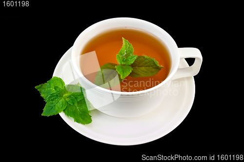 Image of Herbal tea with mint sprigs of two