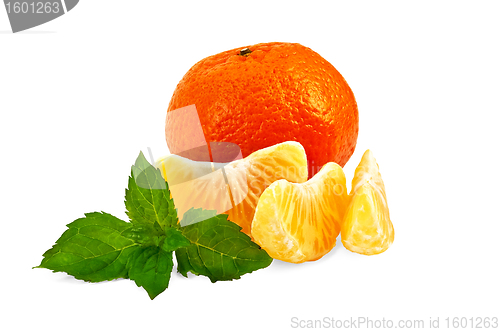 Image of Mandarin with mint and slices