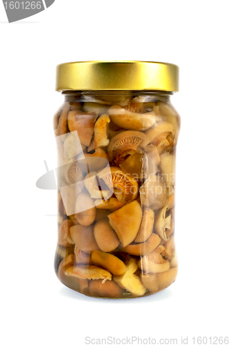 Image of Mushrooms marinated in a high bank