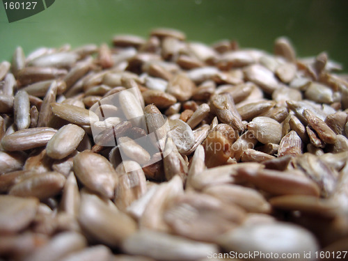 Image of Peeled sunflower seeds