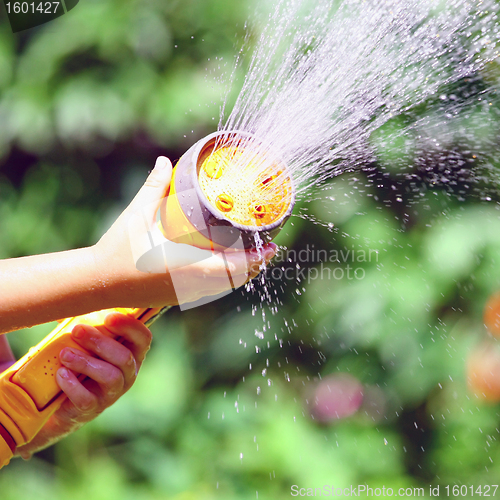 Image of Watering Flowers