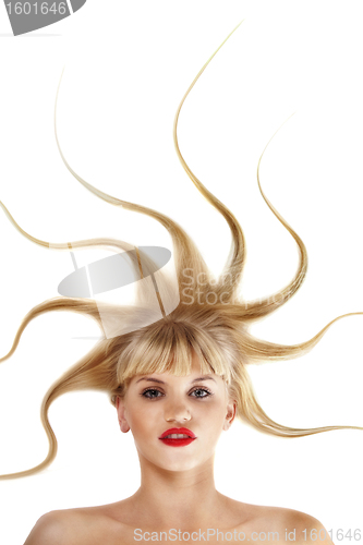Image of Young girl's hairstyle