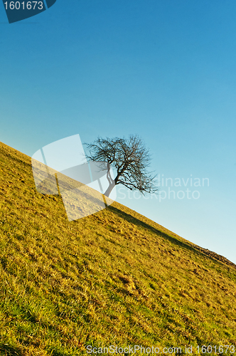 Image of Natur stürzt ab