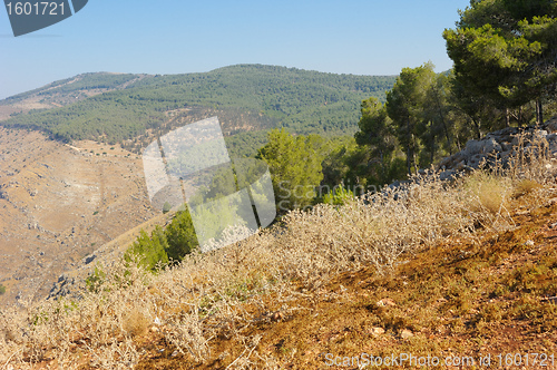 Image of In the north of Israel 