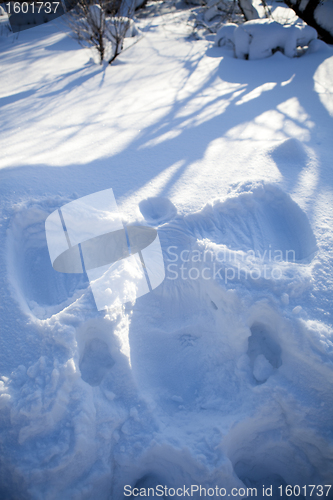 Image of Snow angel