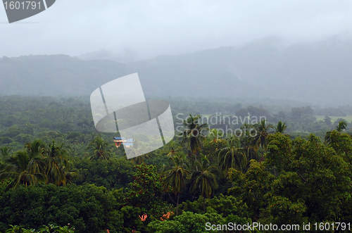 Image of Foggy Vegetation of Sri Lanka