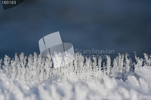 Image of Ice crystals