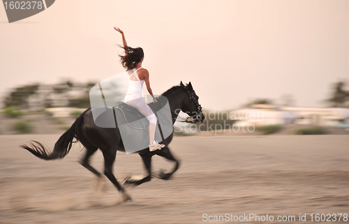 Image of galloping horse