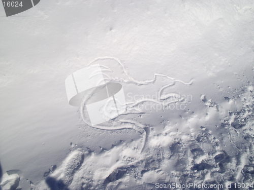 Image of Snow Dragon