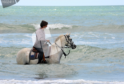 Image of man and horse in sea