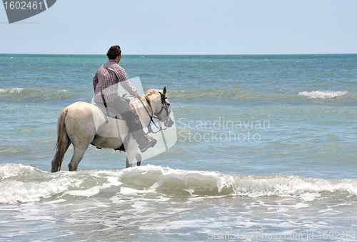 Image of man and horse in sea