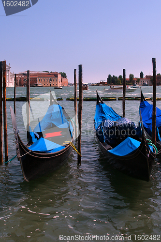 Image of Venice gondolas 