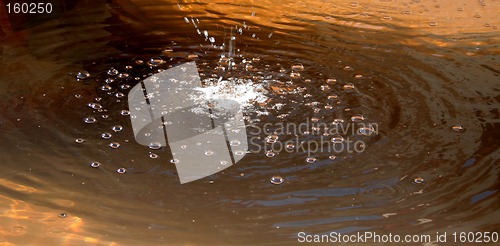Image of Water drops and ripples