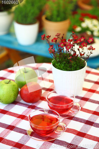 Image of Tea served in the garden