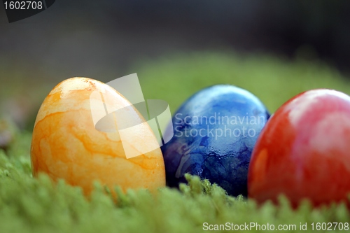 Image of easter eggs