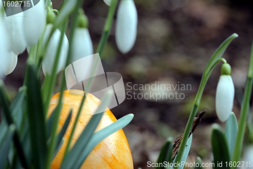 Image of easter eggs