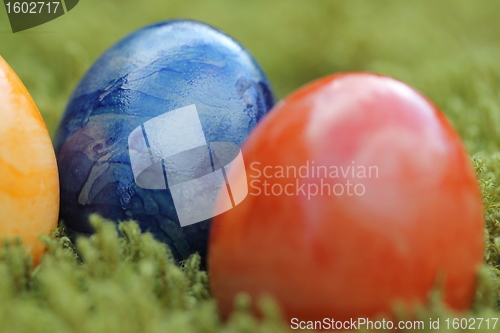Image of easter eggs