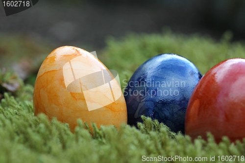 Image of easter eggs