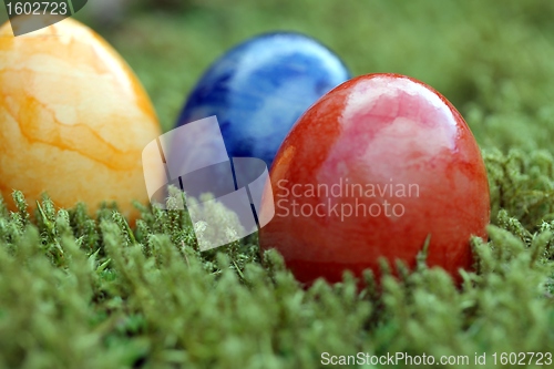 Image of easter eggs