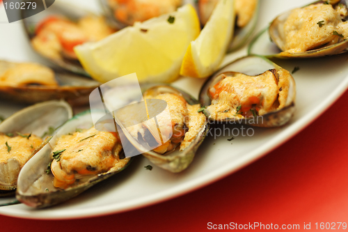 Image of Mussels
