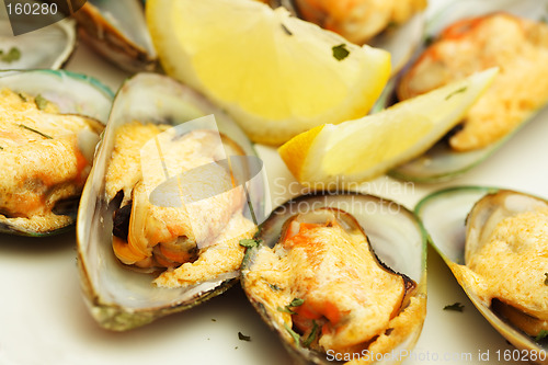 Image of Mussels