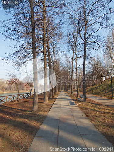 Image of Path among trees