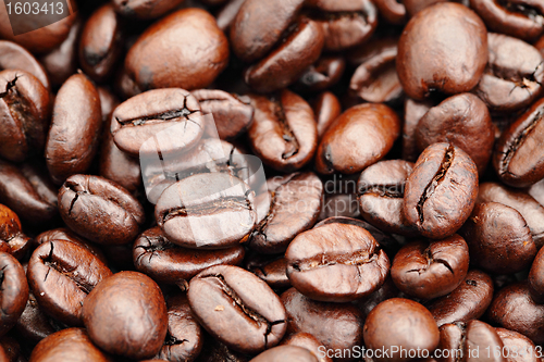 Image of Coffee beans