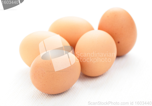 Image of fresh eggs