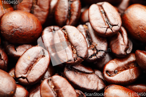 Image of coffee beans