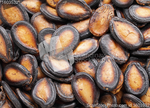 Image of black melon seed for chinese new year