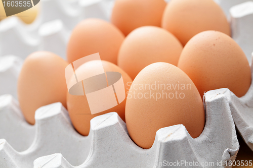 Image of eggs in package