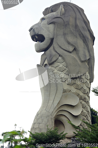 Image of merlion statue, symbol of singapore city, state on sentosa islan