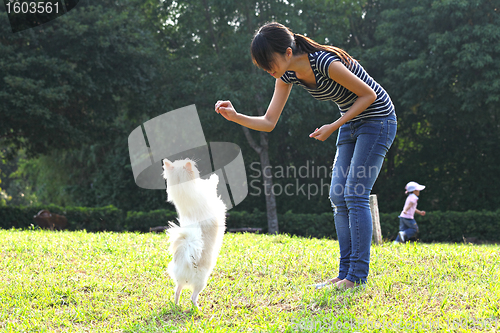 Image of woman train her dog