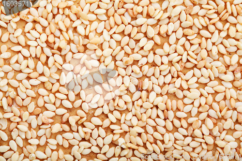 Image of sesame