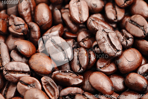 Image of coffee bean