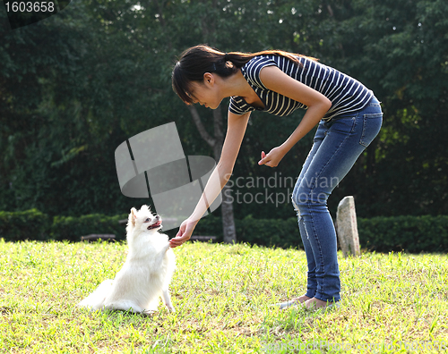 Image of woman train her dog