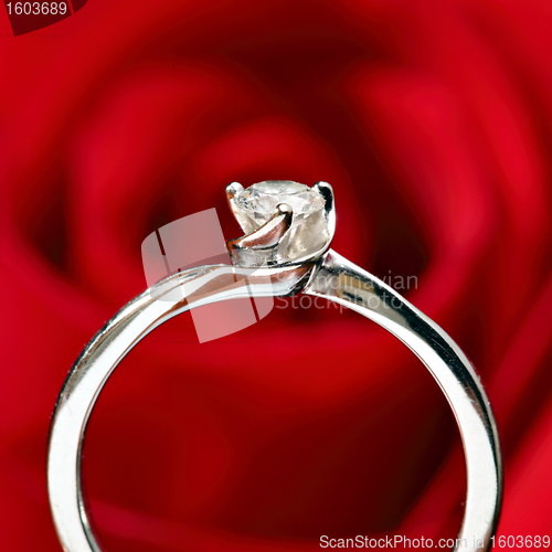 Image of ring with red rose background