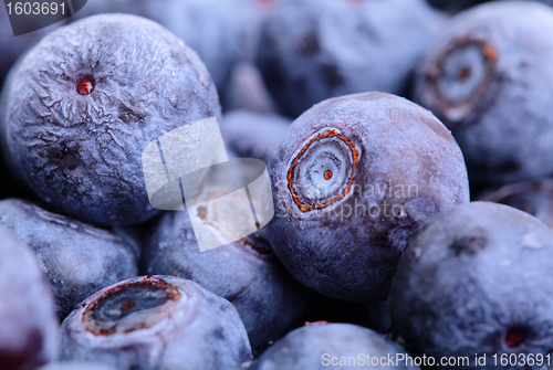 Image of blueberry