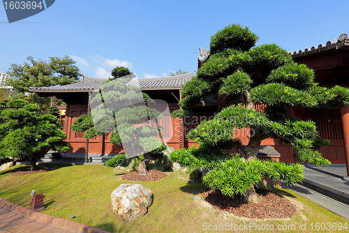 Image of chinese garden