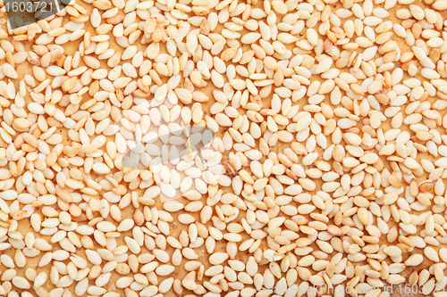 Image of sesame