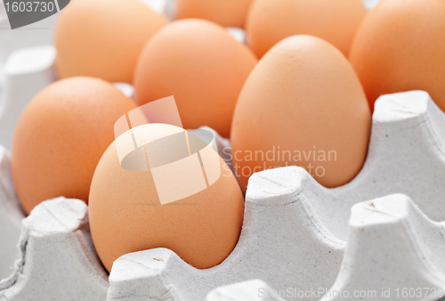 Image of egg in box