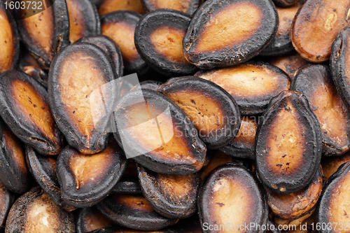 Image of black melon seed