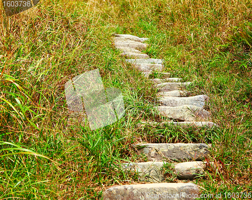 Image of mountain path