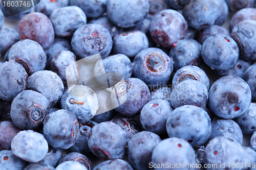 Image of blueberry