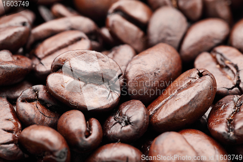 Image of Coffee beans