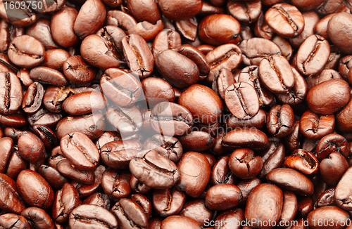 Image of coffee bean