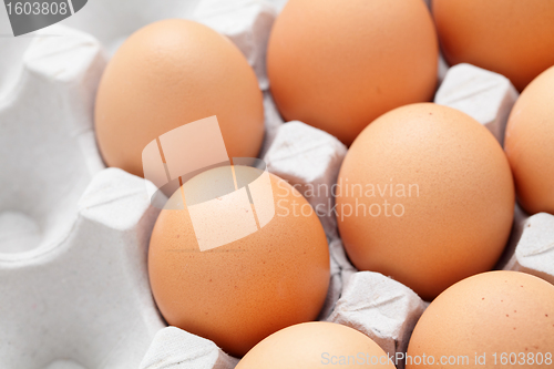 Image of egg in box