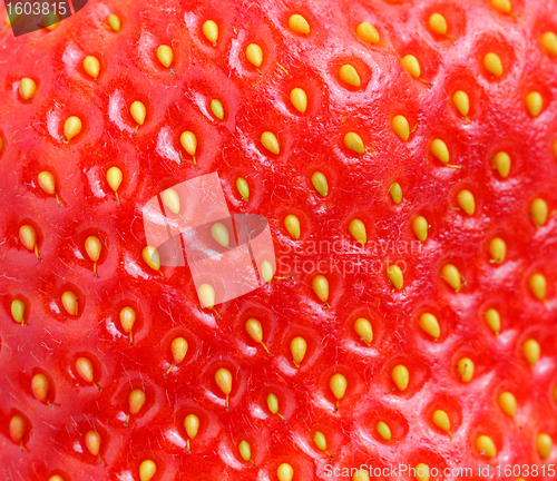 Image of macro of strawberry texture