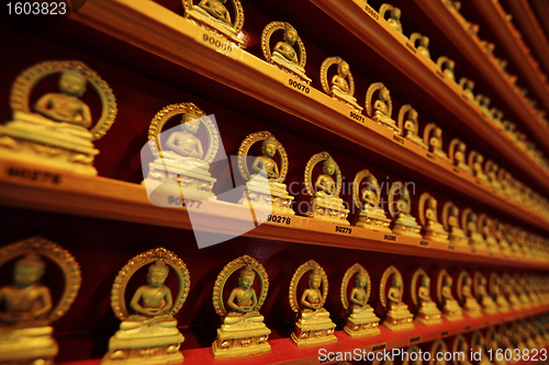 Image of rows of golden buddha statue